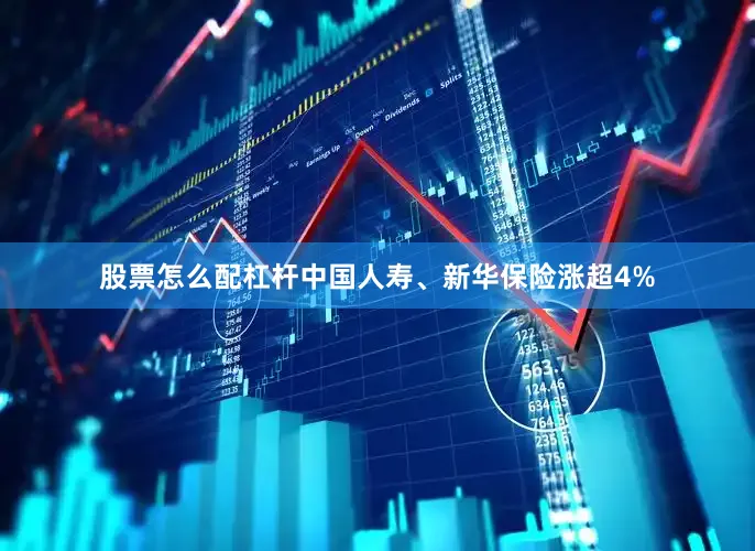 股票怎么配杠杆中国人寿、新华保险涨超4%