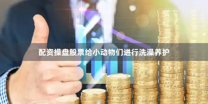 配资操盘股票给小动物们进行洗澡养护