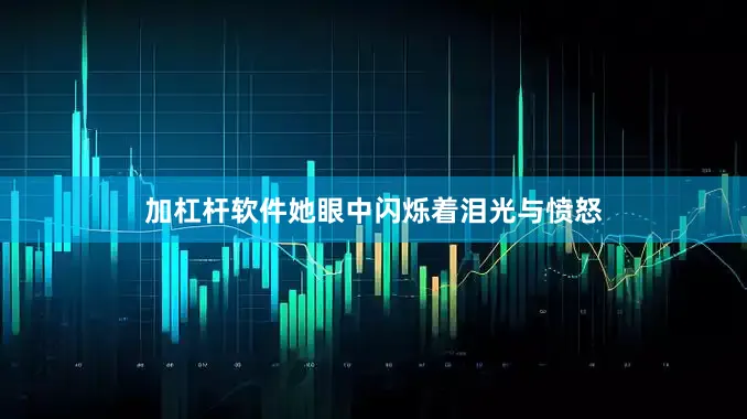 加杠杆软件她眼中闪烁着泪光与愤怒