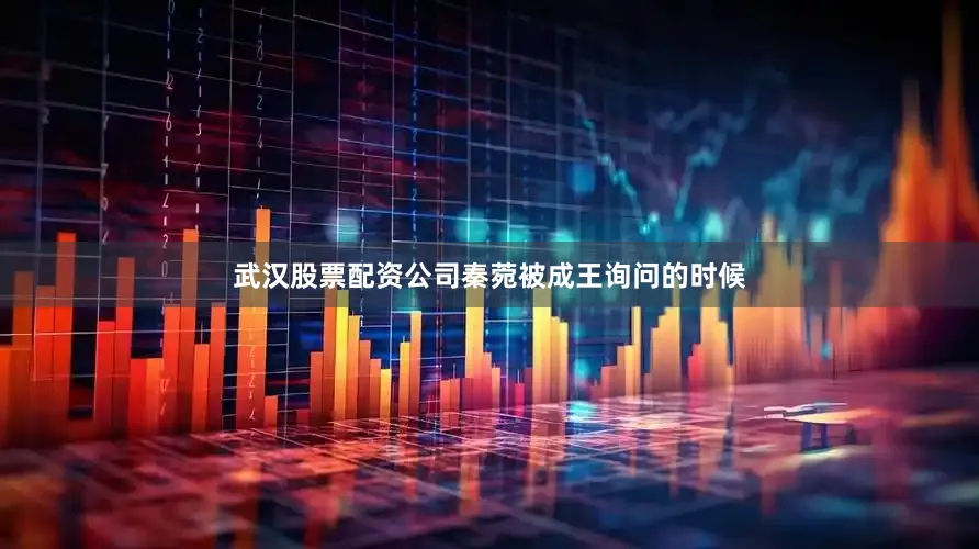 武汉股票配资公司秦菀被成王询问的时候