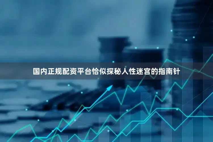 国内正规配资平台恰似探秘人性迷宫的指南针